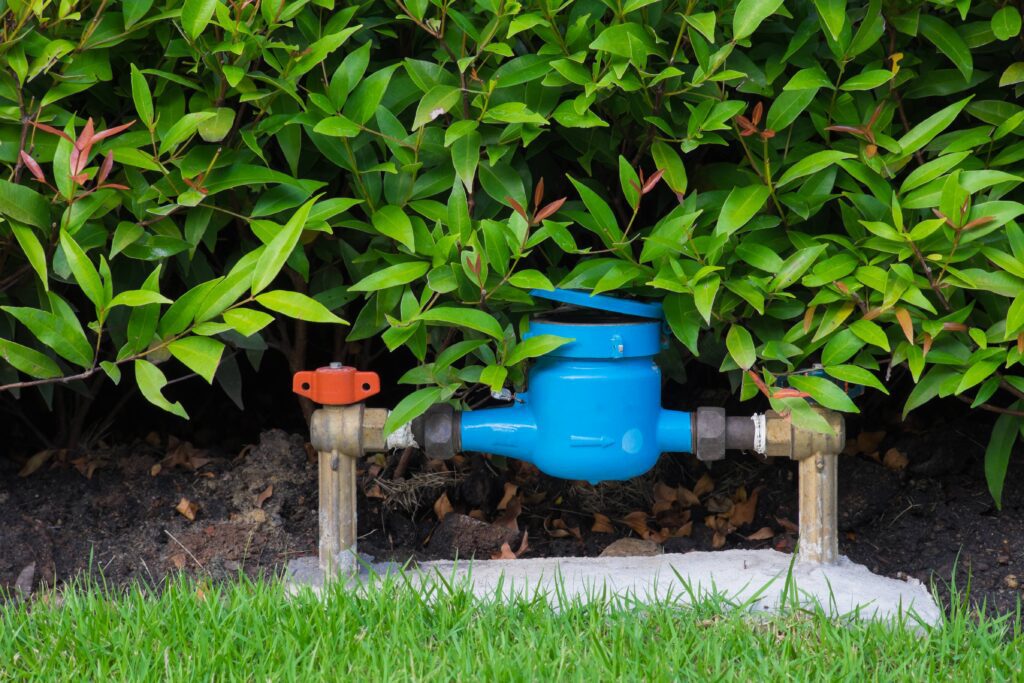 National Water Week: Bringing water into focus